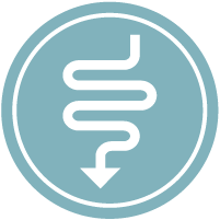 Low FODMAP Friendly
