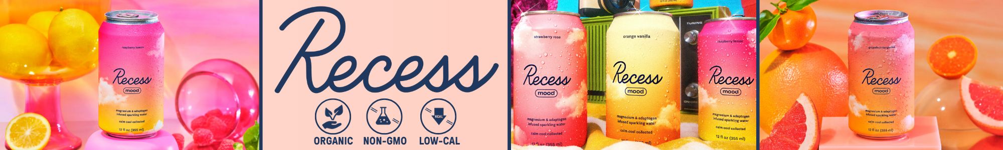 Recess Recess