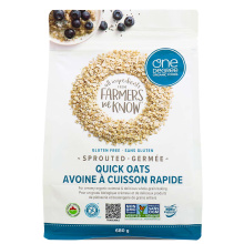 One Degree Organic Foods Gluten-Free Sprouted Quick Oats, 680g