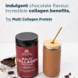 Ancient Nutrition Multi Collagen Protein Chocolate, 298g