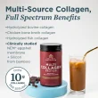 Ancient Nutrition Multi Collagen Protein Chocolate, 298g