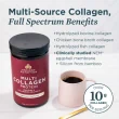 Ancient Nutrition Multi Collagen Protein Vanilla, 242g