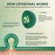 Beekeeper's Naturals Propolis - Liposomal Vitamin C - Liposomal Supplement