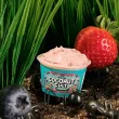 The Coconut Cult Probiotic Coconut Yogurt Organic Berry Basket Lifestyle 2