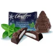 Chocolove 55% Dark Chocolate Peppermint Creme Holiday Bites - Kosher Chocolate - Rainforest Alliance Certified Chocolate Individually Wrapped Christmas Chocolates