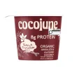Front of Cocojune High-Protein Greek-Style Cultured Coconut Vanilla Cinnamon - Vegan Yogurt - Coconut Based Yogurt - Cocojune Coconut Yogurt