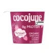 Front of Cocojune High-Protein Organic Greek-Style Cultured Coconut Raspberry - Vegan Yogurt - Coconut Based Yogurt - Cocojune Coconut Yogurt