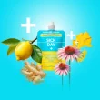 Goodvibes Juice Co. Health Shot Variety Pack - Healthy Shots - Healthy Juice Shots - Ginger Juice Shots