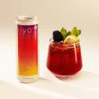 Hiyo Organic Non-Alcoholic Functional Seltzer Blackberry Lemon - Hiyo Non Alcoholic Seltzer - Non Alcoholic Drinks - Hiyo Canada - Blackberry Lemon Seltzer