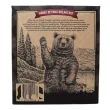 Back of Kodiak Protein-Packed Chewy Granola Bars Chocolate Chip
