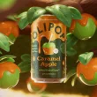 OLIPOP Low Sugar Prebiotic Sparkling Tonic Caramel Apple Lifestyle 1