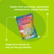 Organika Sugar-Free Electrolytes Variety Pack - Organika Electrolytes Powder - Organika Electrolytes Canada - Hydration Pack