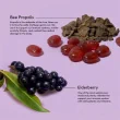 Beekeeper's Naturals Propolis Lozenges Elderberry - Propolis For Cough - Propolis Elderberry - Elderberry Lozenges