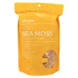 Front of Plumpp Gold Irish Sea Moss