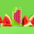 Poppi Prebiotic Soda Watermelon - Prebiotic Soda Poppi - Prebiotic Soda Benefits - Prebiotic Soda Canada