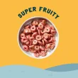 Seven Sundays Protein Oat Cereal Healthy Breakfast Cereal Low Sugar Cereal Super Fruity