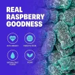 Shameless Snacks Low Sugar Gummies Healthy Gummy Bears Super Sour Blue Raspberry