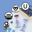 Skout Bars Organic Snack Bars Healthy Snack Bars Date Bars Blueberry Blast Bars