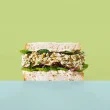 The Grain Escape Grain Free Bread Gluten Free Bread Paleo Bread Low FODMAP Bread Whole Wheatless Bread