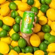 Cove Soda Variety Pack Gut Healthy Soda - Healthy Soda - Probiotic Drink Canada - Probiotic Soda