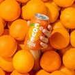 Cove Soda Variety Pack Gut Healthy Soda - Healthy Soda - Probiotic Drink Canada - Probiotic Soda