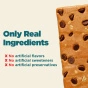 Perfect Bar Organic Oaties Cookie Dough Lifestyle