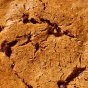 Toto Gluten-Free Protein Cookie Variety Pack Lifestyle