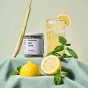 Lake & Oak Tea Co. Loose Leaf Superfood Tea Blend Gut Love Lifestyle
