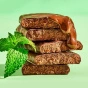 ALOHA Protein Bar Organic Plant-Based Protein Bar Chocolate Mint Protein Bar