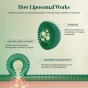 Beekeeper’s Naturals Royal Jelly Brain Health Liposomal Packet Canada Lifestyle 4