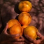 Bero Non-Alcoholic Beer Double Tasty West Coast Style IPA Canada Lifestyle 5