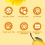 Bob Snail Dried Fruit Snack - Healthy Dried Fruit Snack - Natural Dried Fruit Snack - Real Fruit Snack - Multifruit