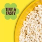 Cob Foods Corn-Free Popcorn Popped Sorghum Olive Oil & Pink Salt Lifestyle 2