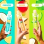 DeeBee's Organic Freezies Organic Popsicles Healthy Freezies Healthy Popsicles Gelato Pops