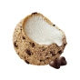 Doughlicious Cookie Dough & Non-Dairy Gelato Bites Chocolate Chip - Cookie Dough Gelato - Cookie Dough And Gelato Bites - Gelato Bites