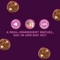 Day Out Gluten-Free Protein Balls Cinnamon Bun Lifestyle 2