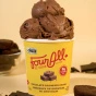Four All Dairy-Free Frozen Dessert Chocolate Brownie Chunk Lifestyle 1