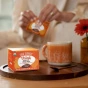 Four Sigmatic Think ORganic Mushroom Elixir Mix With Lion's Mane Mushroom