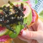 GimMe Organic Roasted Seaweed Snack Value Pack Avocado Oil - Gluten Free Seaweed - Organic Seaweed Snacks - Seaweed Snacks