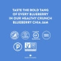 Healthy Crunch Paleo Chia Jam Blueberry - Keto Spreads - Vegan Spreads - Gluten-Free Spreads