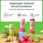 Juni Sparkling Decaffeinated Adaptogenic Tea Strawberry Hibiscus - Adaptogenic Drinks - Jay Shetty Tea - Sparkling Teas