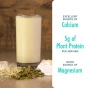 Lifestyle of Kiki Plant-Based Milk Unsweetened - Plant Based Milk - Unsweetened Plant Milk - Milk Alternative