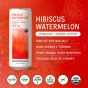 NA Beverage Co. Sparkling Tea Hibiscus Watermelon Lifestyle 1