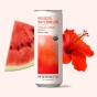 NA Beverage Co. Sparkling Tea Hibiscus Watermelon Lifestyle 3