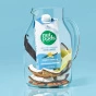 Nutpods Unsweetened & Dairy-Free Creamers Variety 4-Pack Canada Lifestyle 8