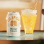 OLIPOP Low Sugar Prebiotic Sparkling Tonic Orange Cream Lifestyle