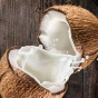 Cha's Organics Premium Coconut Milk - Natural Coconut Milk - Coconut Milk Can - Healthy Coconut Milk
