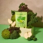 Plant People Zero Sugar Vegan Veggie Gummies WonderGreens Canada Lifestyle 1