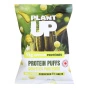 Plant Up Protein Puffs Dill Pickle Front