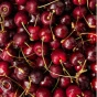 PROMIX Collagen Beauty Elixir Dark Forest Cherry, 30 Packets Lifestyle 3